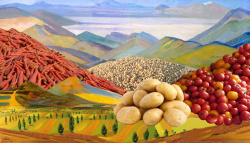 Обзор сельского хозяйства Беларуси