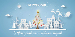 С Рождеством и Новым 2021 годом!